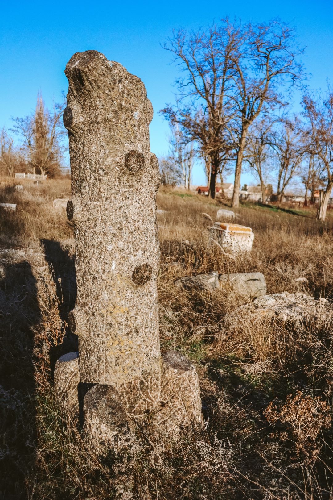 Старі надгробки на єврейському цвинтарі