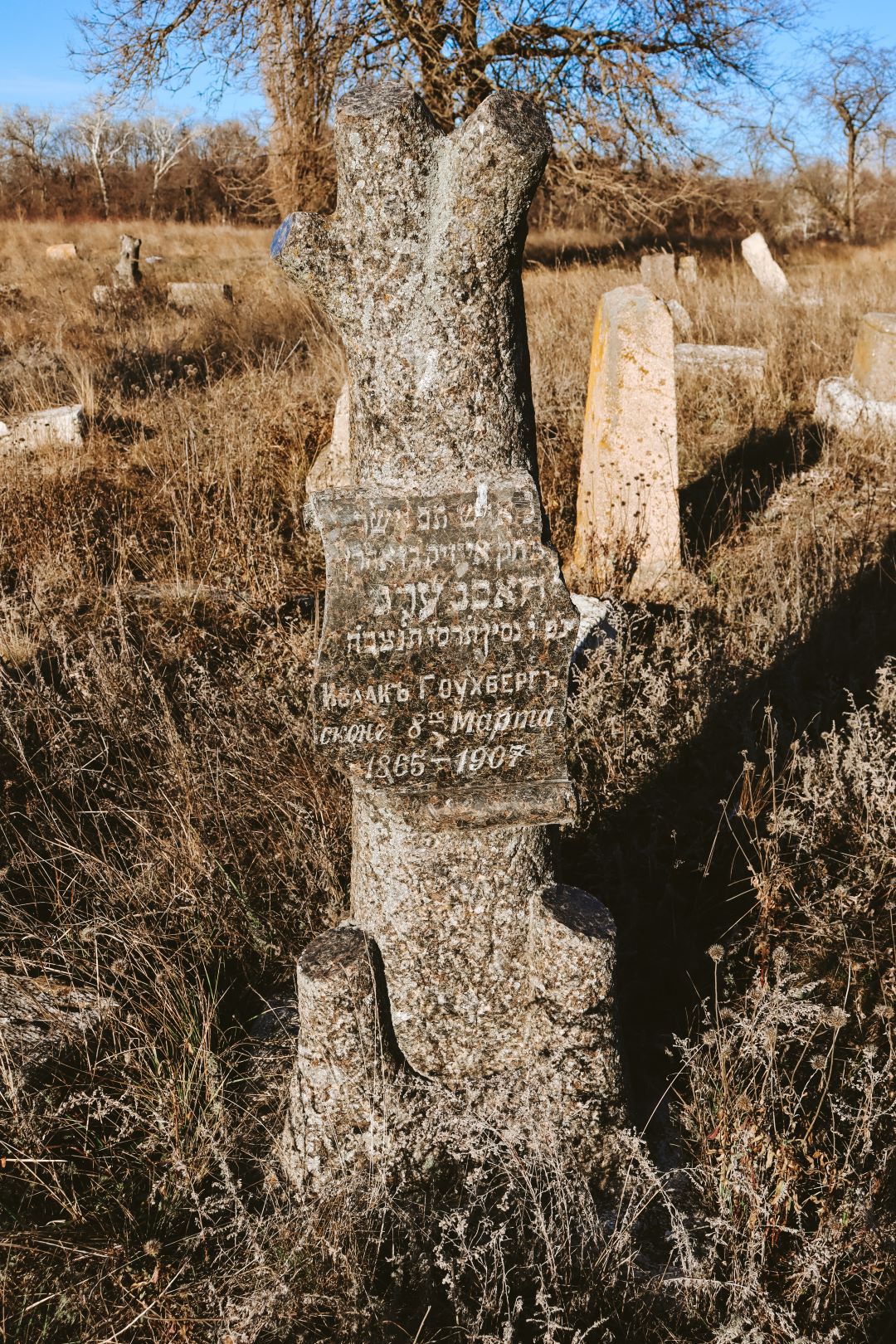 Старе єврейське кладовище у Мелітополі
