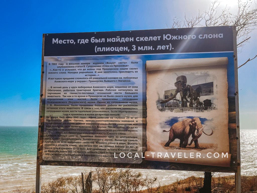 Арт-об'єкт «Південний слон» Арт-об'єкт «Південний слон»